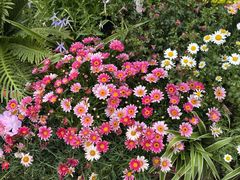 -家富足道·SPA·影院式(解放碑碑中心店)