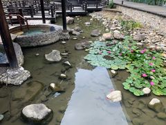 -明月山天沐温泉度假村