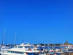 -巧克力渔家.小船海鲜胶东菜(万平口店)