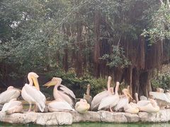 -珠海长隆海洋王国