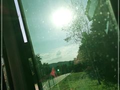 -五营国家森林公园
