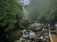 -龙苍沟森林公园