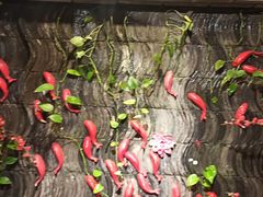 -小龙坎火锅(春熙太古里店)