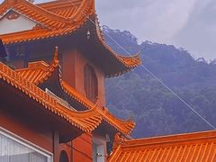 -深圳仙湖植物园