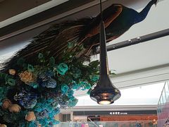 -雀蓝川菜(滨湖万象汇店)