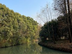-同里国家湿地公园