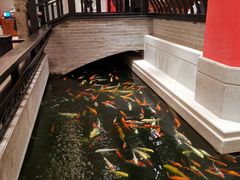 -龙悦湾酒家·八阵鱼生·渔人码头店