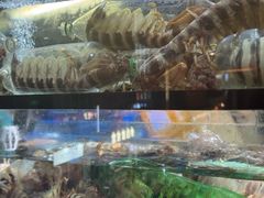 -喜记避风塘炒辣蟹(总店)
