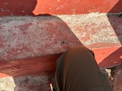 -吉林拉法山