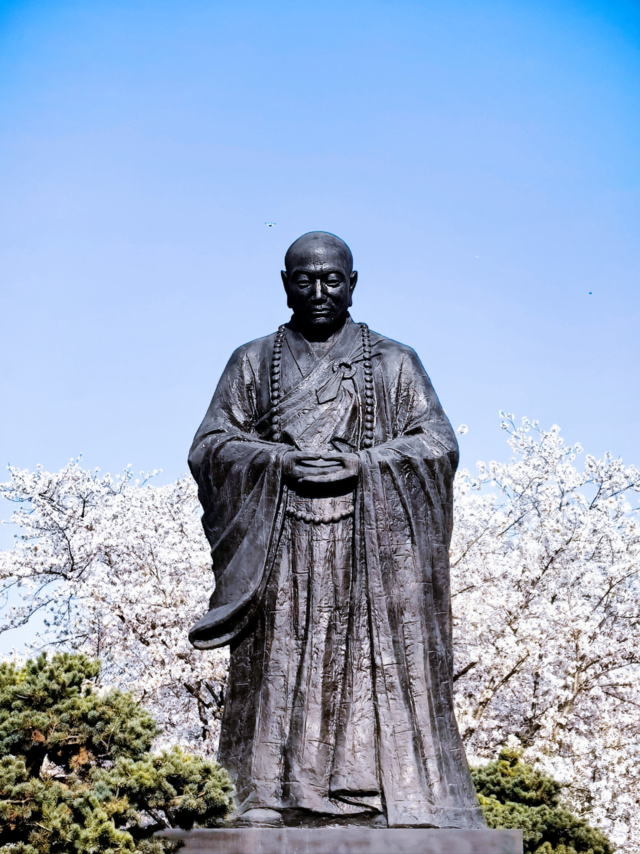 2025扬州鉴真路樱花季