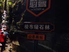 -梭布垭石林景区