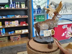 -北京周口店北京人遗址博物馆