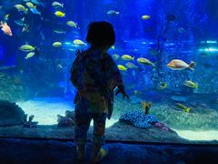 -沈阳海洋探索中心