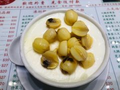 莲子双皮奶-义顺牛奶公司(新马路老店)