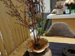 -扫雪煮茶(西村店)