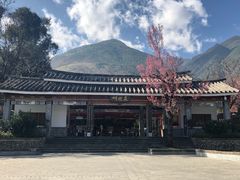 -蝴蝶泉公园