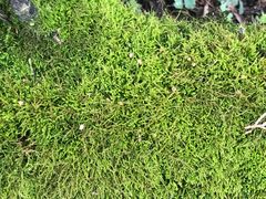 -青龙山国家森林公园