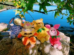 -长春市南湖公园