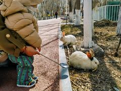 -水上乐园·欢乐世界