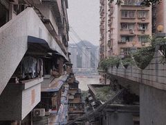 -悟饮门市景店