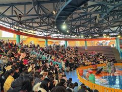 -海合安武汉极地海洋公园