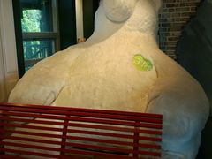 -济州岛泰迪熊博物馆