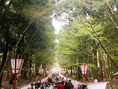 -醍醐寺