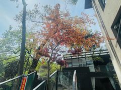 -润泽天·湘味家宴(岳麓山店)