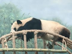 -杭州动物园