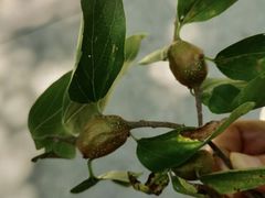 -湖洞水自然风景区