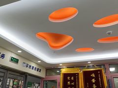 -全心全意连锁动物医院·微创中心·内科急重症·心脏专科(丰管路店)