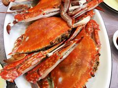 -金海湾海鲜排档(朱家尖店)
