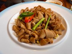 -优之名鹅城