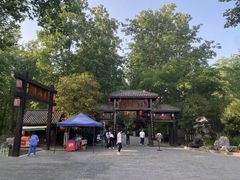 -合肥滨湖国家森林公园