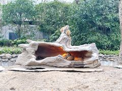 -上海野生动物园