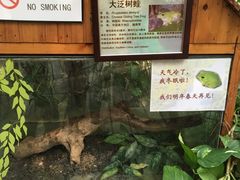 -上海大自然野生昆虫馆