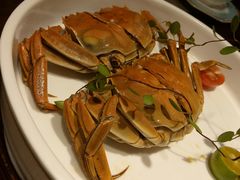 大闸蟹-童福兴·南京菜(老门东店)