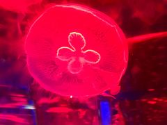 -石林冰雪海洋世界