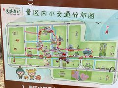 -黄海国家森林公园