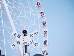 -顾村公园