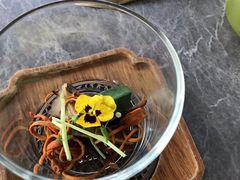 -Hi City·城市之巅