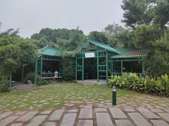 -渤公岛生态公园