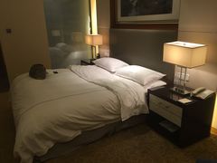 -淮安曙光国际大酒店(大运河广场花街店)