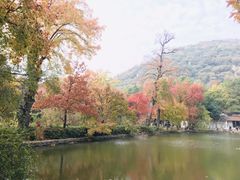 -灵岩山风景区