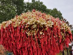 -狼山风景名胜区