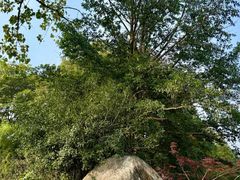 -新荣记(西溪湿地店)