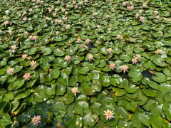 -白鹭湾湿地公园