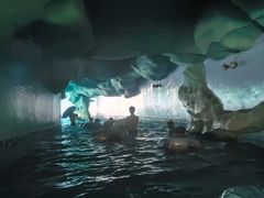 -重庆海昌加勒比海水世界