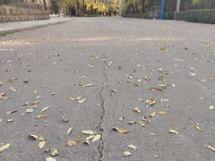 -森林公园(尖草坪区)