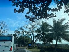 -海南分界洲岛旅游区